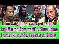 Jaal Marron Abiy Irratti J Shurrubbee April 16 2025 Jaal Marron Abiy Irratti J Shurrubbee April 16 2025