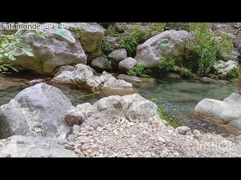 أم شيماء هق هق فضحات اشرف راجل بنتها خرج عليها