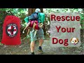 Dog rescue made easy  fido pro airlift sling