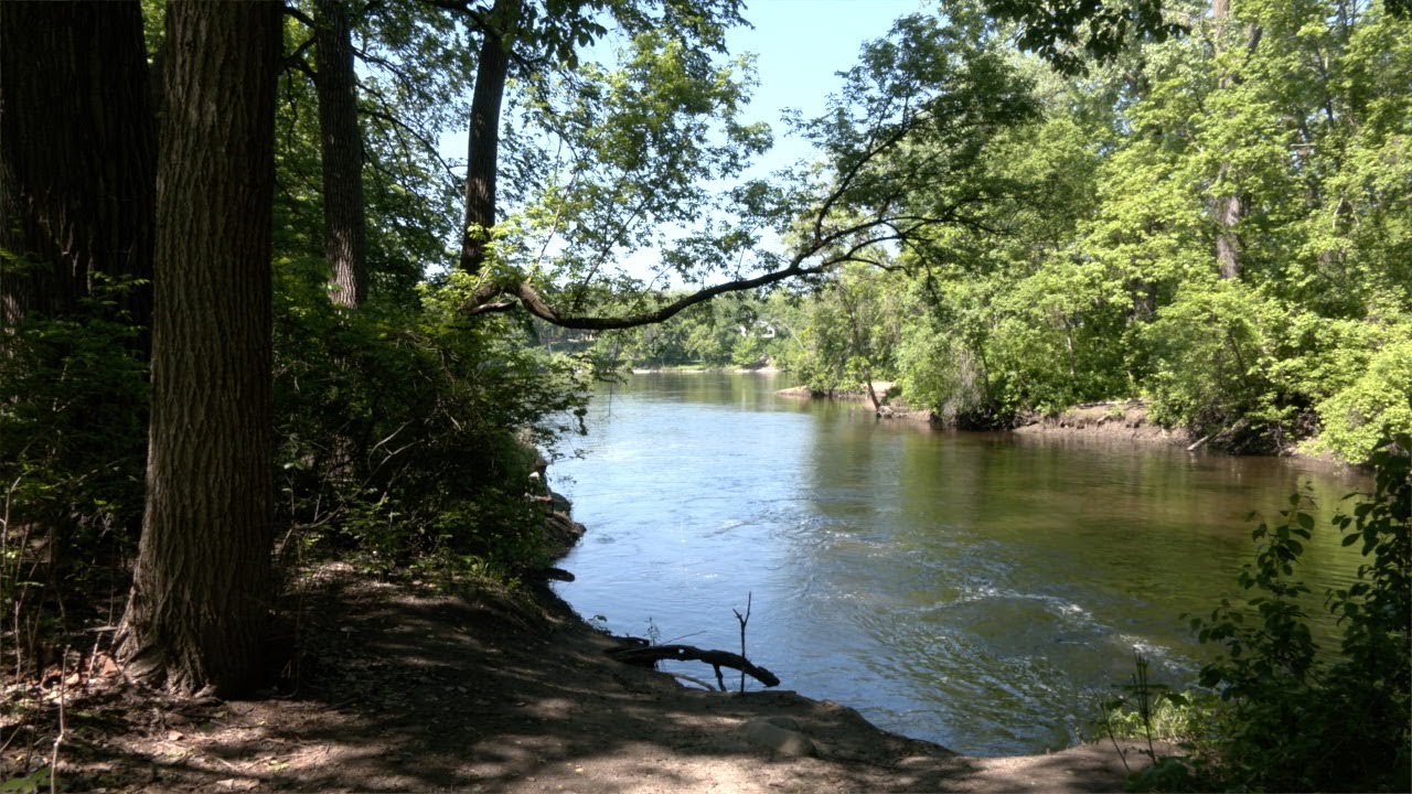 Anoka County wants residents to take a "walk in the park"