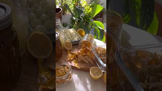 Preserve Lemons Four Ways