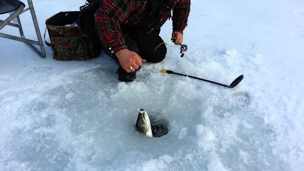 Ice fishing Video in British Columbia Canada 