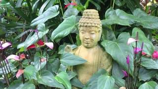 Hunte’s Garden Tour, Barbados