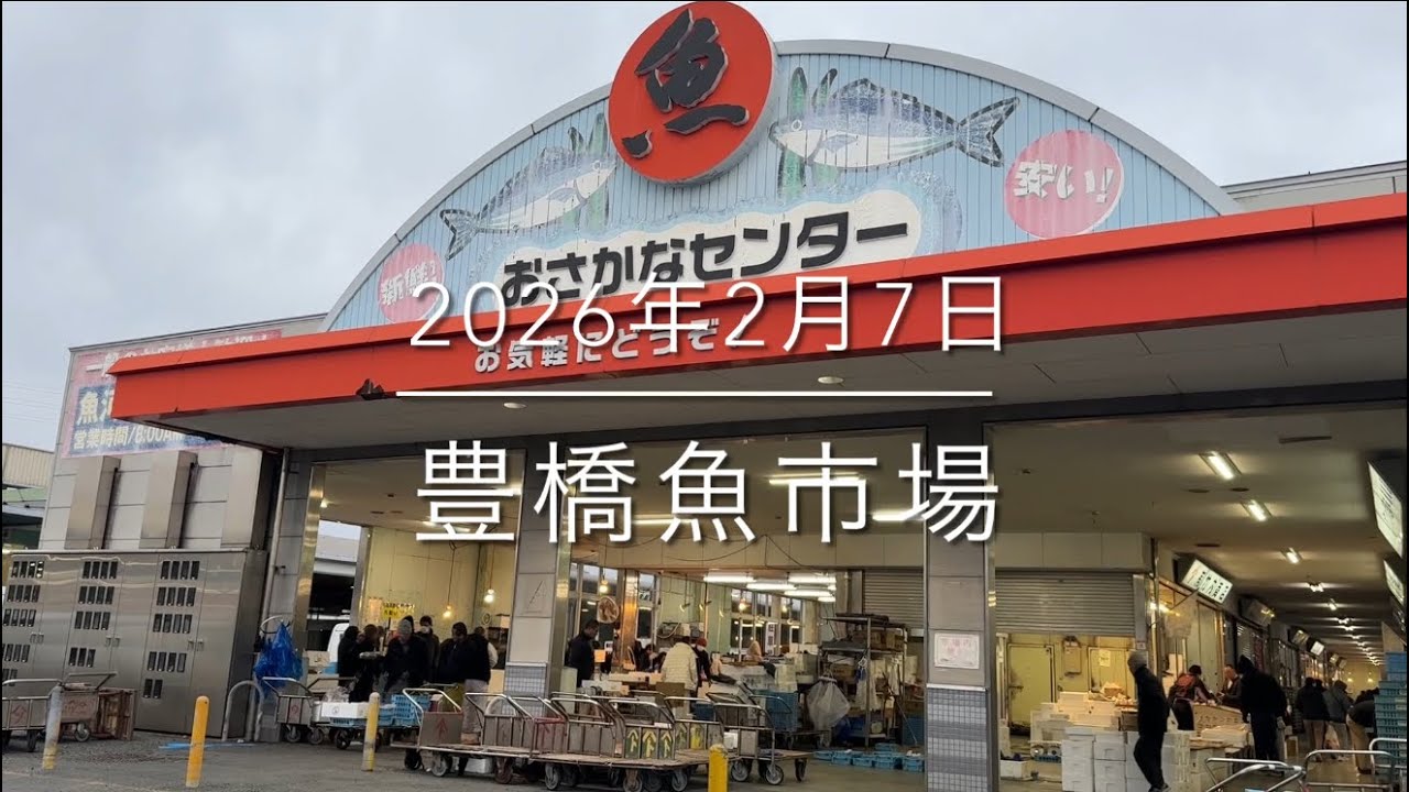 【衝撃】本当は教えたくない朝市【12㌔規格外の怪魚現る⁉︎】『豊橋魚市場』