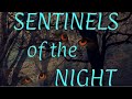 Sentinels of the Night Book Trailer