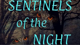 Sentinels of the Night Book Trailer