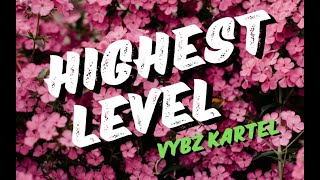Vybz Kartel Highest Level lyrics video