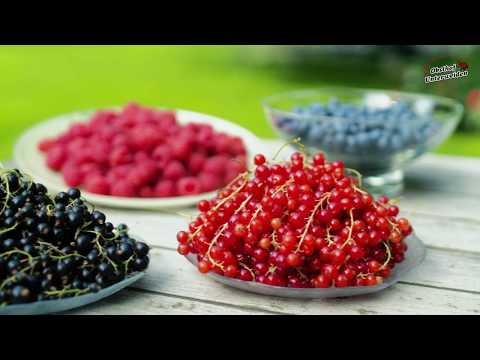 Obsthof Unterweiden in Tönisvorst - Krefeld - Kempen