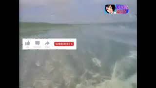 Amazing House Mix Classic Indo - MENGHAPUS JEJAKMU VS DJ FUNKY MELODY