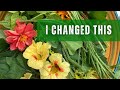 Why I stopped relying on annual vegetables