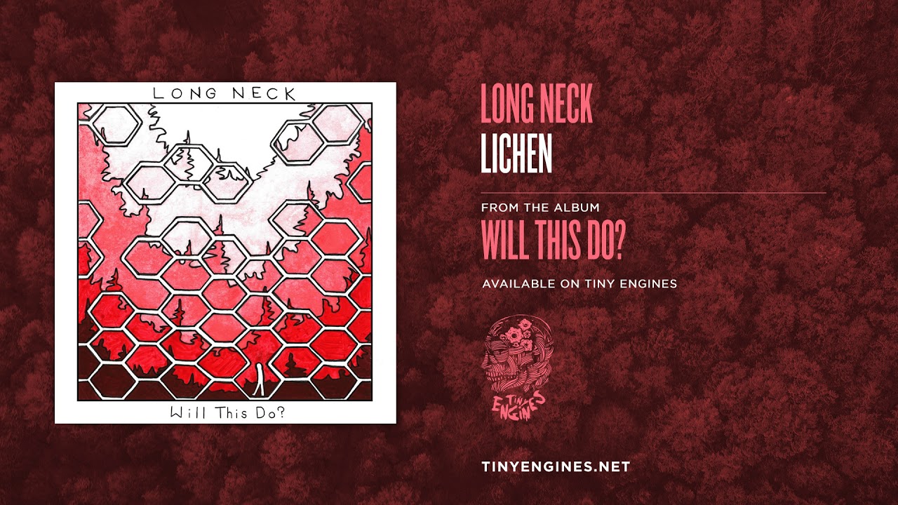 Watch Long Neck - Lichen on YouTube Watch Long Neck - Lichen on YouTube