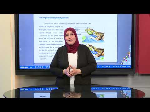 الاحياء للصف الثاني المتوسط المتميزين -Chapter 9 : Vertebrates (Amphioia)