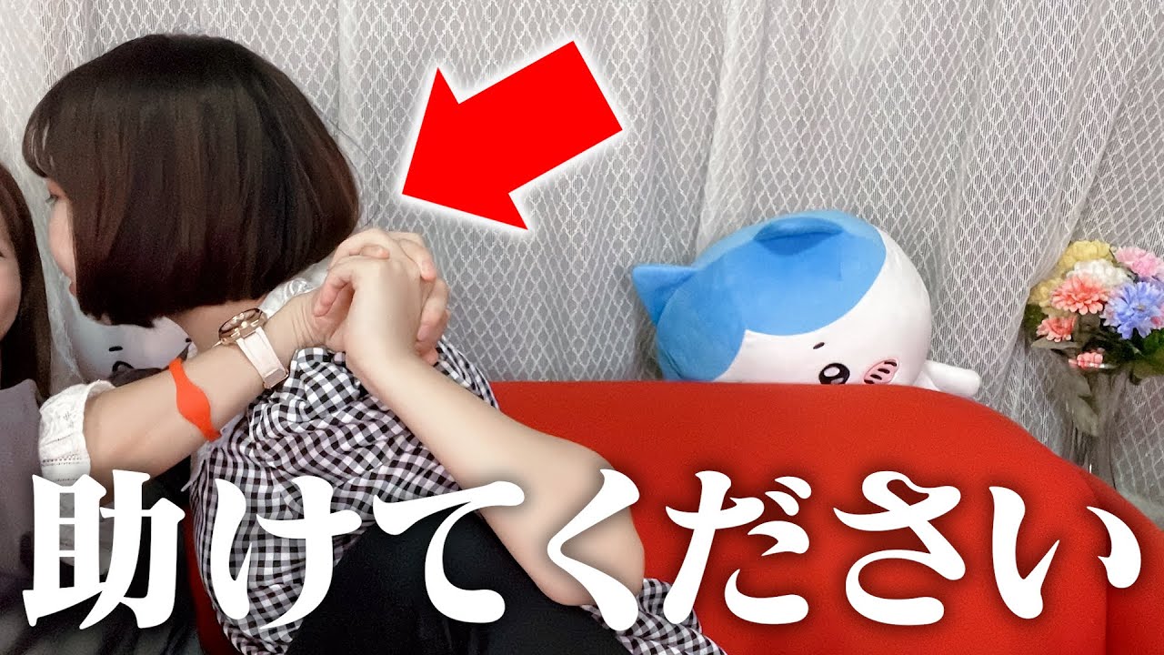 【野球拳?】負けたら◯◯になるジャンケンがヤバい #日常