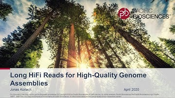 Long HiFi reads for high-quality genome assemblies