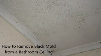 Bathroom Ceiling Mould Removal Youtube