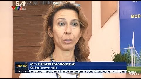 Năng lượng tái tạo | Phát triển Ninh Thuận thành Trung tâm năng lượng tái tạo | VTV1