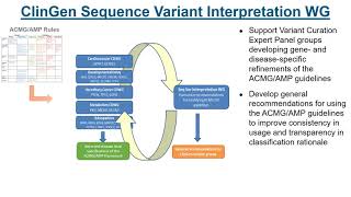 Presentation - Variant Classification using ACMG/AMP Guidelines (Steven Harrison)