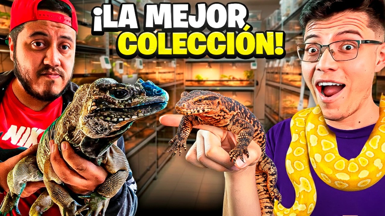 TODOS los ANIMALES de Charly Rock en UN SOLO VIDEO