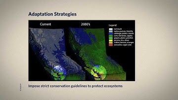 9.2 Adaptation Strategies
