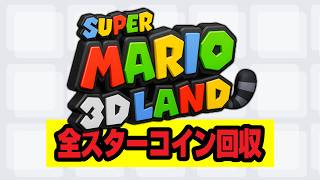 【スーパーマリオ 3Dランド】極やりこみ『全スターコイン回収編』４日目