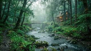Perfect Sounds To Ease Your Mind 🌳🌧️ Natural Rain and Wind Sounds