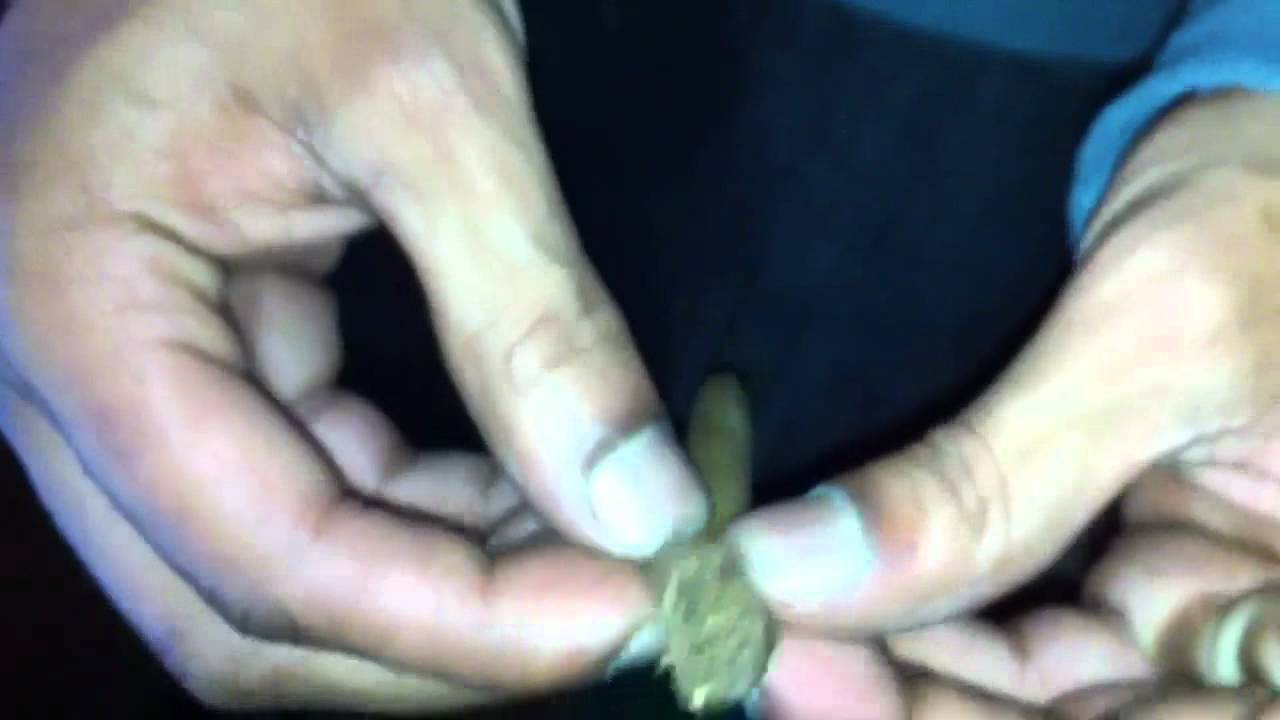 OGSmokers - Medi KushMas