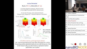 Biophysics 401 Lecture 23: Ion Channels II