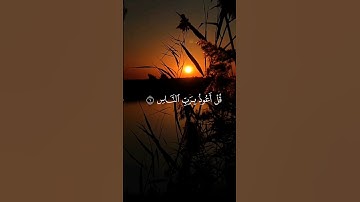 قُلْ أَعُوذُ بِرَبِّ النَّاسِ ) سورة الناس ماهر المعيقلي حلات واتس اب