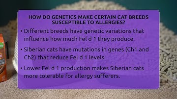 How Do Genetics Make Certain Cat Breeds Susceptible To Allergies? - Happy Cat Handbook