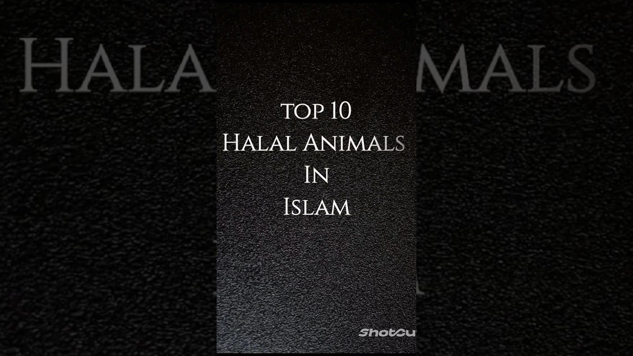 Top 10 Halal Animals in Islam Islamic world is open 6k+ views complete 😊