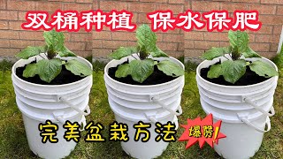 【種植小白必看】雙桶種植法|盆栽保水保肥 少管理 輕鬆種植