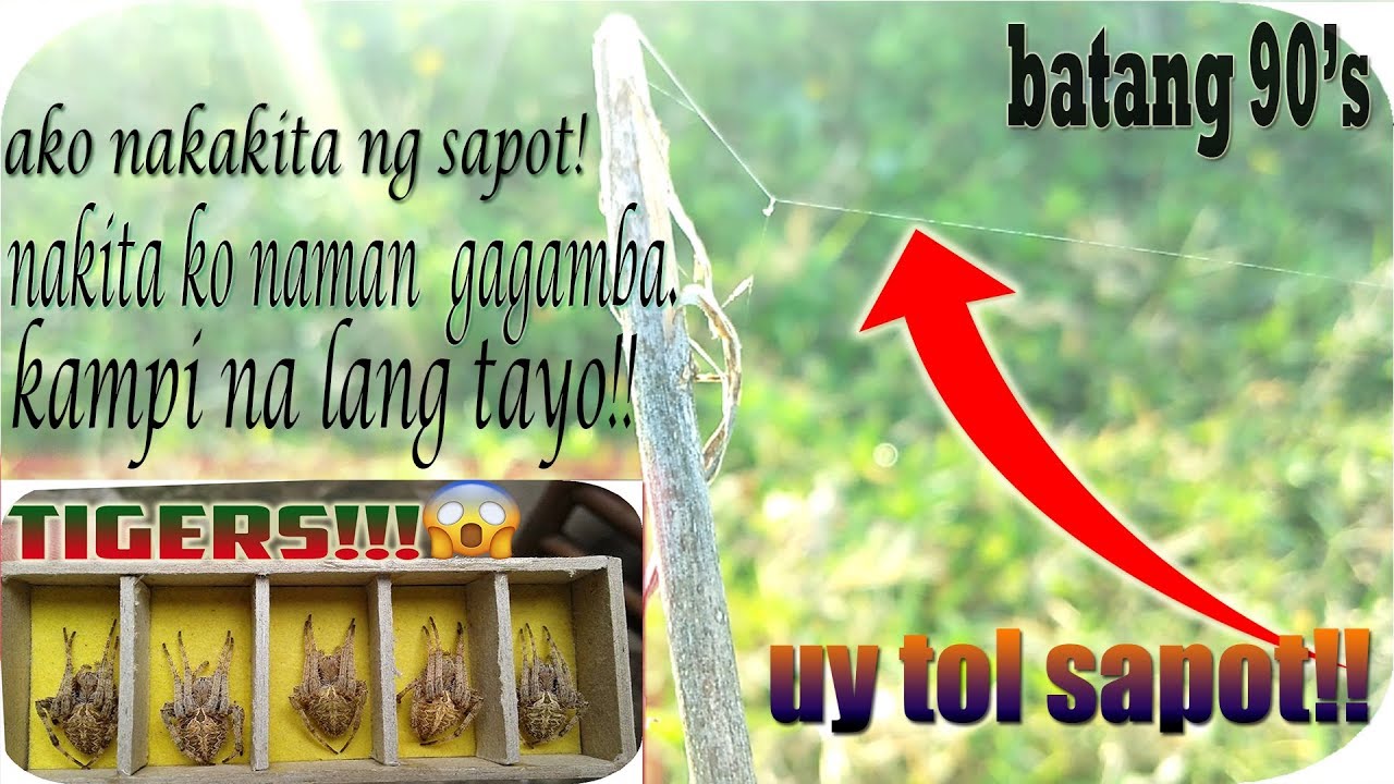 LIBANGANG 90'S ''GAGAMBA'' NAKAKAMIS!