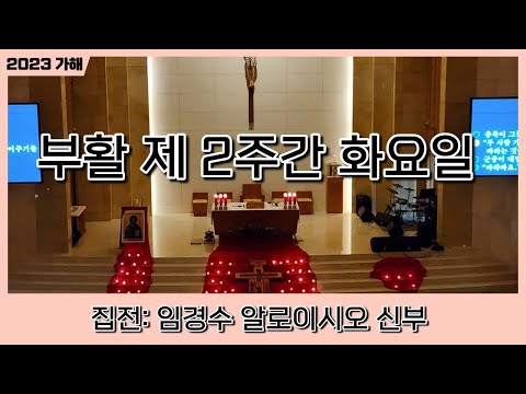 영상썸네일