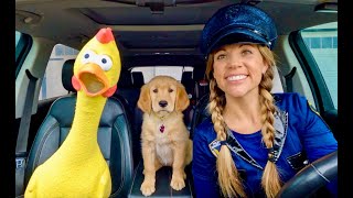 Police Surprises Puppy & Rubber Ducky With Car Ride Chase!