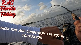 TONS of Snook in the Saint Lucie River!! Fishing Mangroves and Docks!!