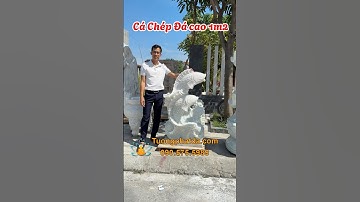✅ Tượng Cá Chép Đá Phong Thuỷ – Biểu tượng hóa rồng, hút tài lộc cực mạnh. ☎️ 090.575.5989 #