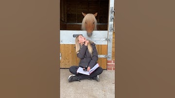 Dressage Prep… or Just #BlockBlast? 🐴🎮 AD #BlockBlast #HungryStudio #ToBlockBlast