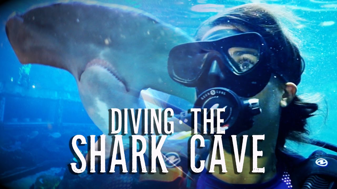 Diving THE SHARK CAVE!  ~DRENCHED Ep. 4~