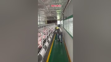 cách làm chuồng nuôi heo tiết kiệm chi phí