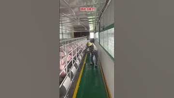 cách làm chuồng nuôi heo tiết kiệm chi phí