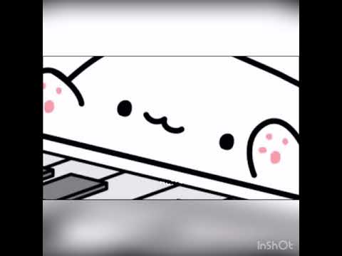 cat-plays-piano-meme