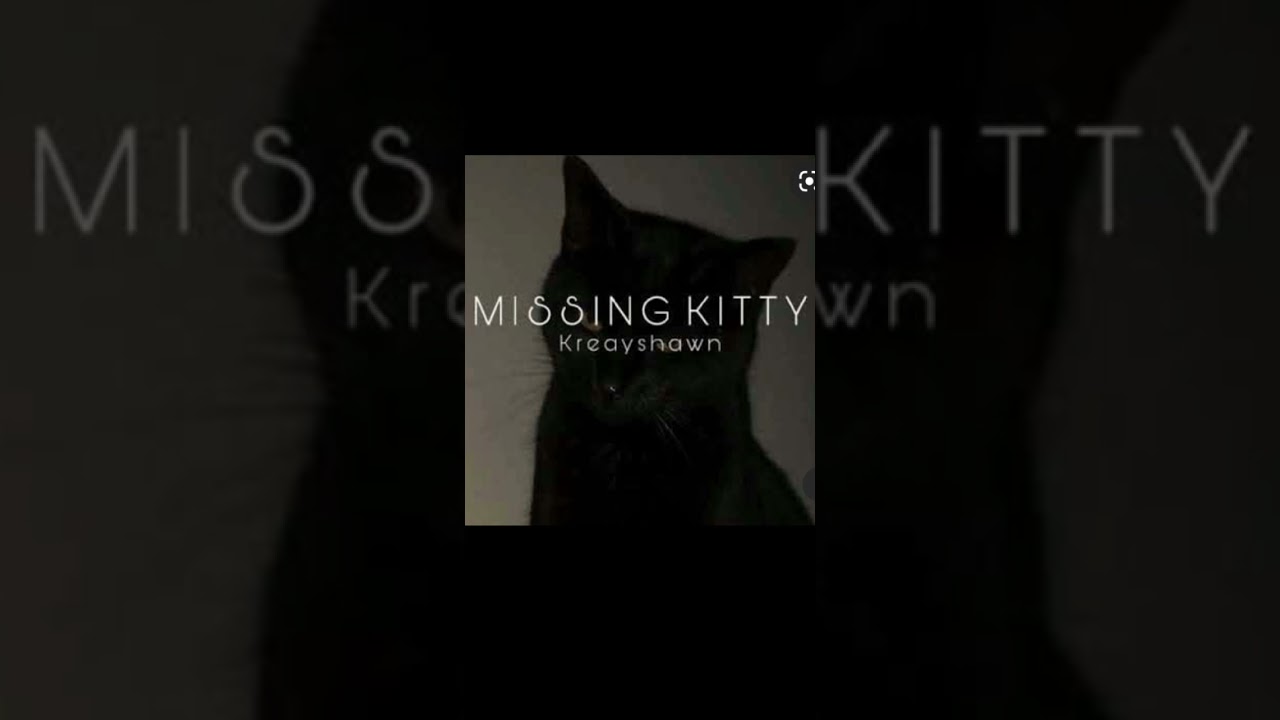 KREAYSHAWN - Missing Kitty (feat. songs)