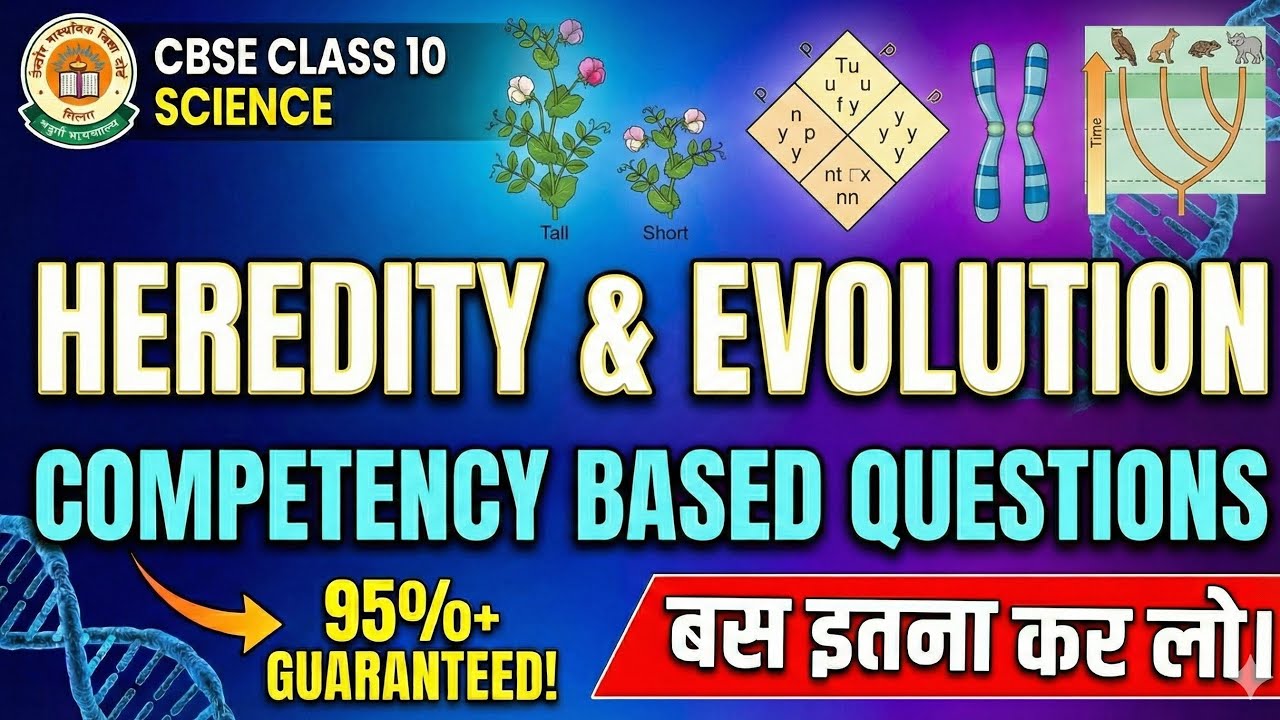 class 10 heredity and evolution competency based questions