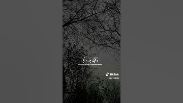 #عبدالرحمن_مسعد #قرآن #قران_كريم #القرآن #قرآن_كريم #راحة_نفسية #صوت_خاشع #سورة