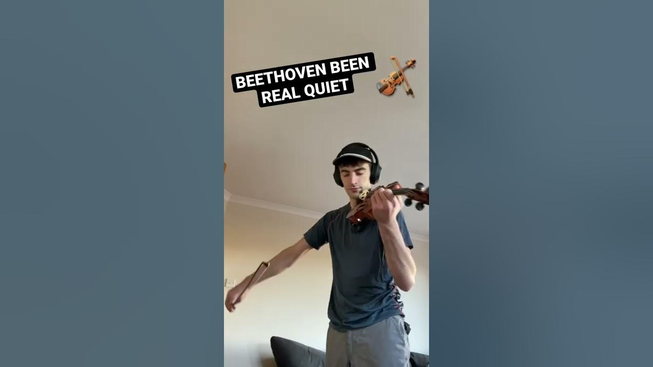 Moonlight Sonata (Violin cover)