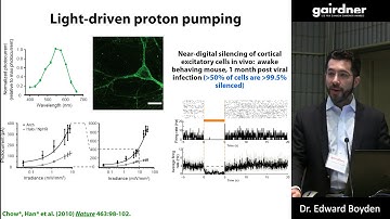 Optical and molecular tools for analyzing and controlling brain circuits - Dr. Edward Boyden