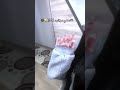 جابولي شايب لايك للمقطع