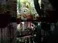 #rain