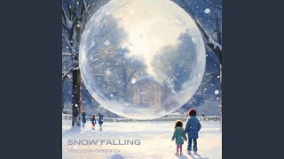 Snow Falling - Veaceslav Draganov