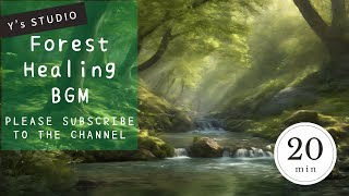 Healing BGM in the forest/bird chirping, river murmuring, environmental sounds | Study BGM, work BGM